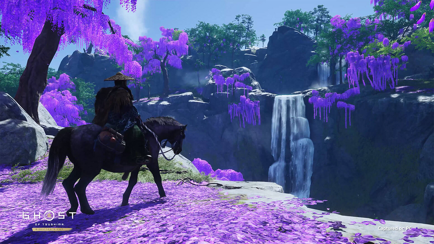 Ghost of Tsushima DIRECTOR'S CUT - Pre Order – image 9