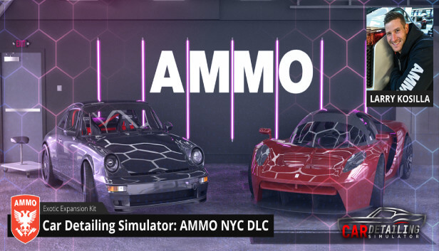 NOT IN USE Car Detailing Simulator - AMMO NYC DLC (PlayWay SA)  for sale in Egypt from Games2Egypt