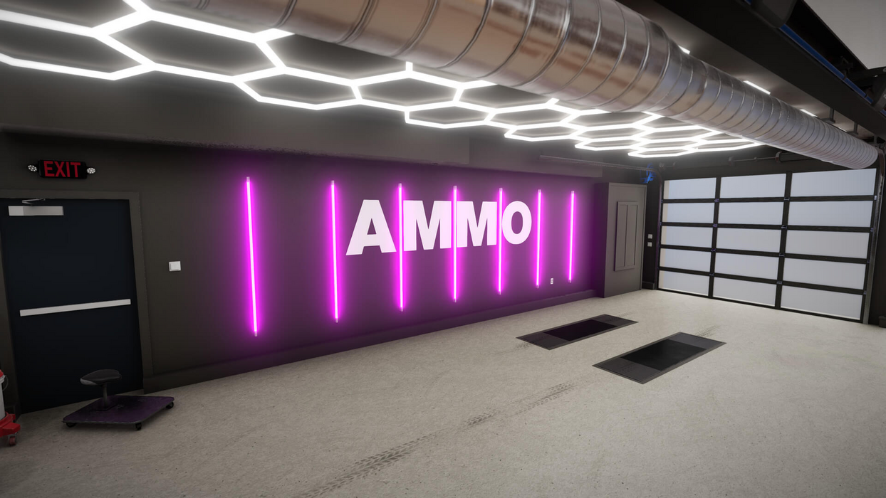 NOT IN USE Car Detailing Simulator - AMMO NYC DLC (PlayWay SA)  for sale in Egypt from Games2Egypt
