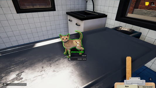 NOT IN USE Animal Shelter - Puppies & Kittens DLC (PlayWay SA)  for sale in Egypt from Games2Egypt