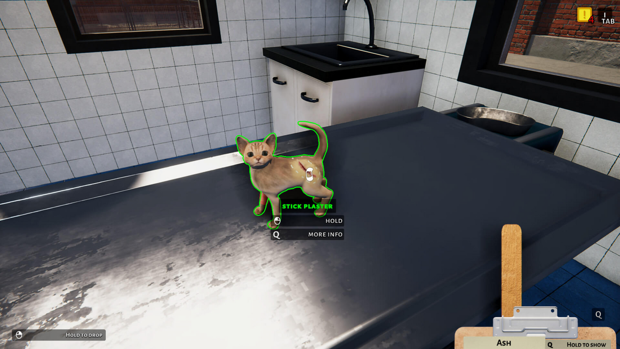 NOT IN USE Animal Shelter - Puppies & Kittens DLC (PlayWay SA)  for sale in Egypt from Games2Egypt