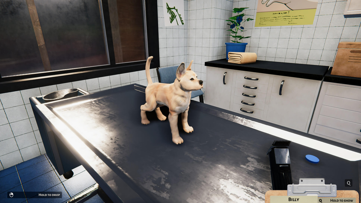 NOT IN USE Animal Shelter - Puppies & Kittens DLC (PlayWay SA)  for sale in Egypt from Games2Egypt