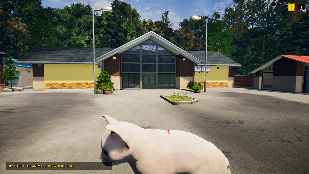 NOT IN USE Animal Shelter - Puppies & Kittens DLC (PlayWay SA)  for sale in Egypt from Games2Egypt