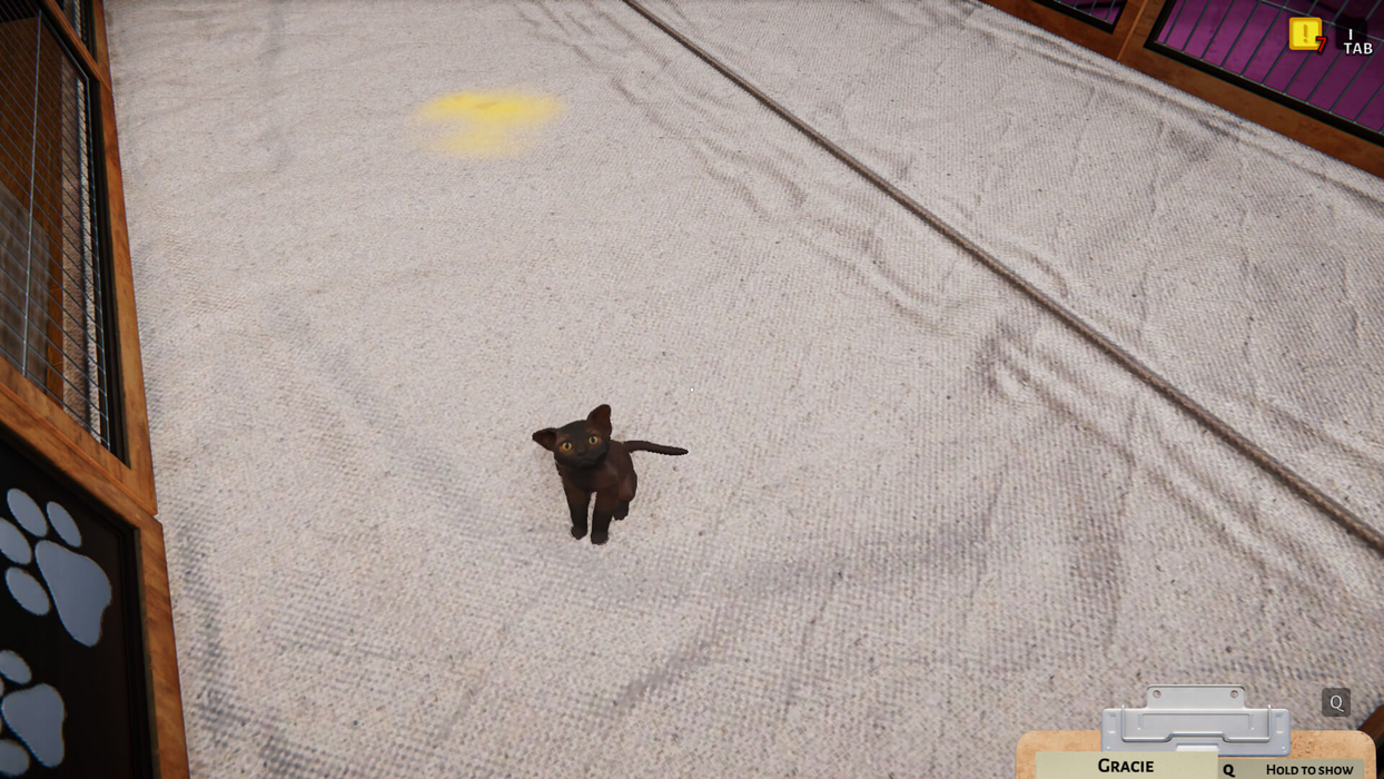 NOT IN USE Animal Shelter - Puppies & Kittens DLC (PlayWay SA)  for sale in Egypt from Games2Egypt