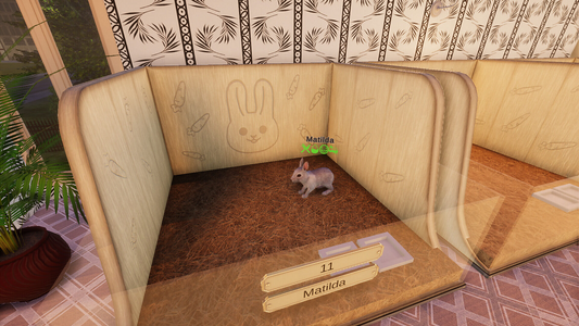 NOT IN USE Pets Hotel (PlayWay SA)  for sale in Egypt from Games2Egypt