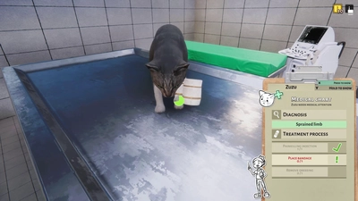 Animal Shelter - Vet Clinic DLC  for sale in Egypt from Games2Egypt