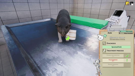 NOT IN USE Animal Shelter - Vet Clinic DLC (PlayWay SA)  for sale in Egypt from Games2Egypt