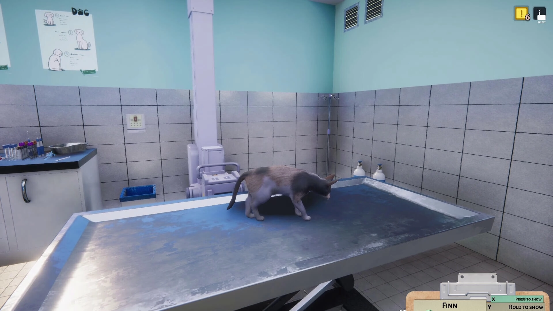 Animal Shelter - Vet Clinic DLC  for sale in Egypt from Games2Egypt