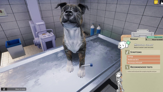 NOT IN USE Animal Shelter - Vet Clinic DLC (PlayWay SA)  for sale in Egypt from Games2Egypt