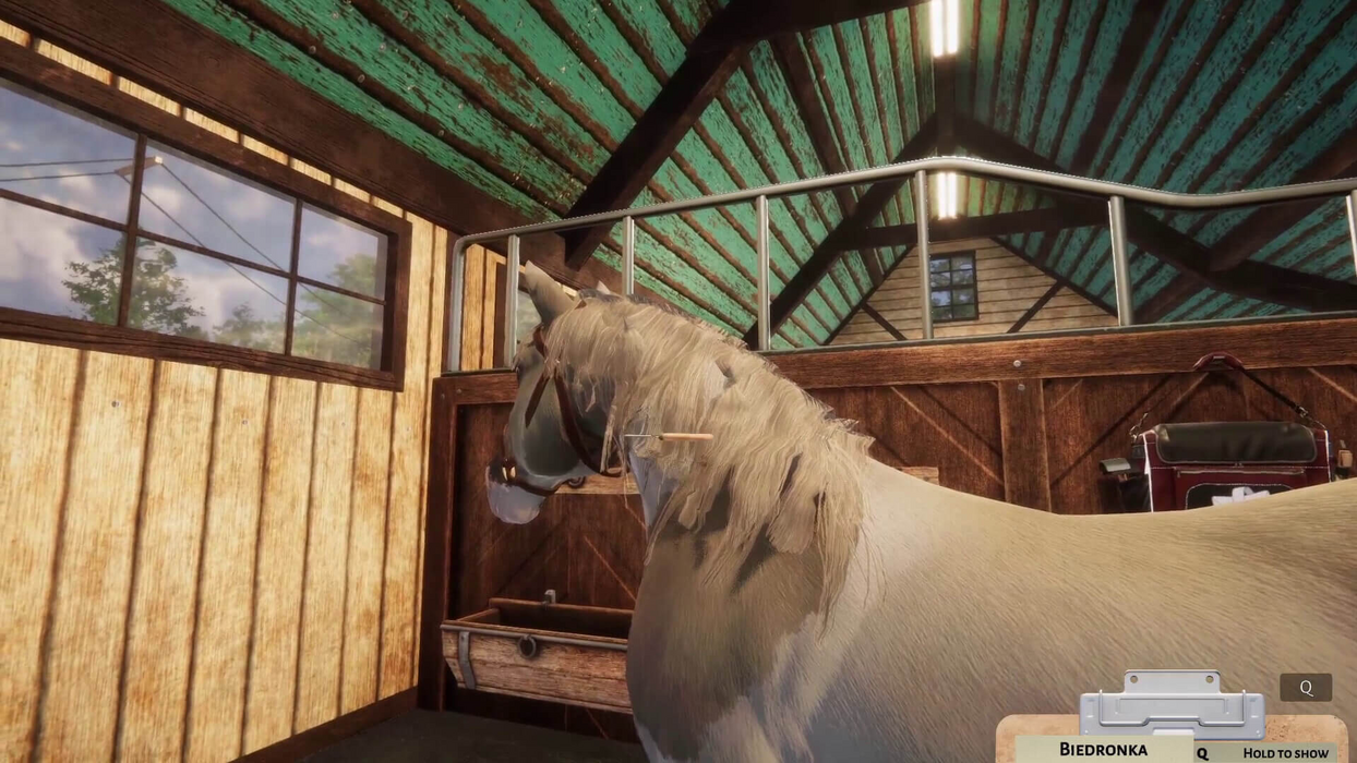 NOT IN USE Animal Shelter - Horse Shelter DLC (PlayWay SA)  for sale in Egypt from Games2Egypt
