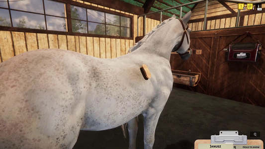 NOT IN USE Animal Shelter - Horse Shelter DLC (PlayWay SA)  for sale in Egypt from Games2Egypt