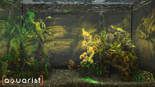 Aquarist  للبيع في مصر من خلال Games2Egypt