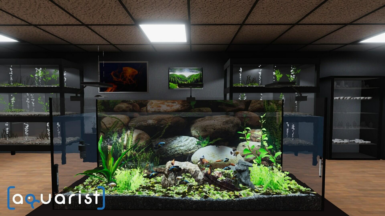 Aquarist  للبيع في مصر من خلال Games2Egypt
