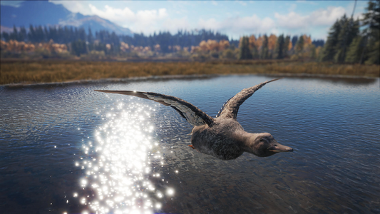 theHunter: Call of the Wild™ - Duck and Cover Pack  للبيع في مصر من خلال Games2Egypt