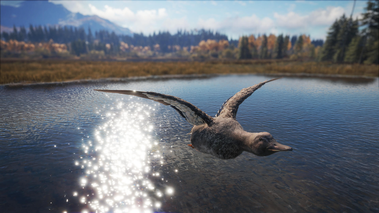 theHunter: Call of the Wild™ - Duck and Cover Pack  للبيع في مصر من خلال Games2Egypt