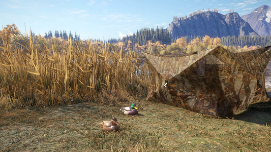 theHunter: Call of the Wild™ - Duck and Cover Pack  للبيع في مصر من خلال Games2Egypt