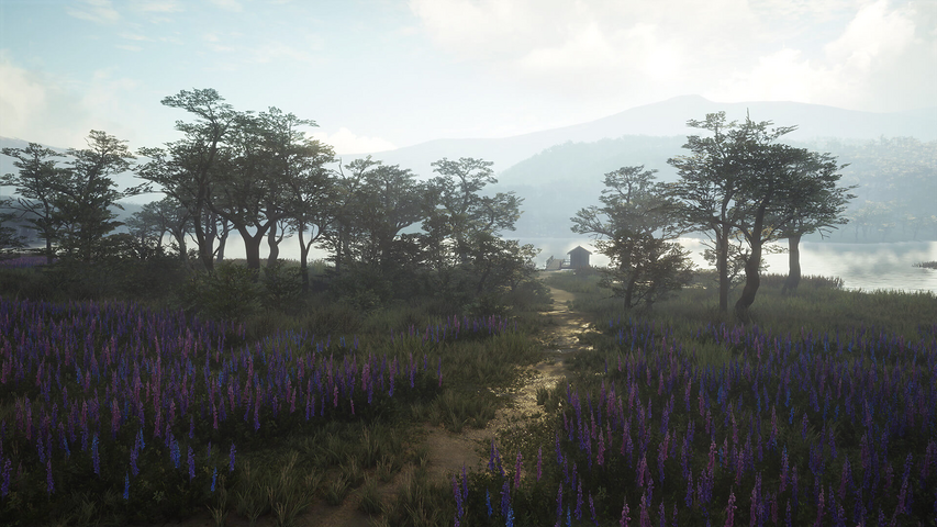 theHunter: Call of the Wild™ - Parque Fernando – image 4