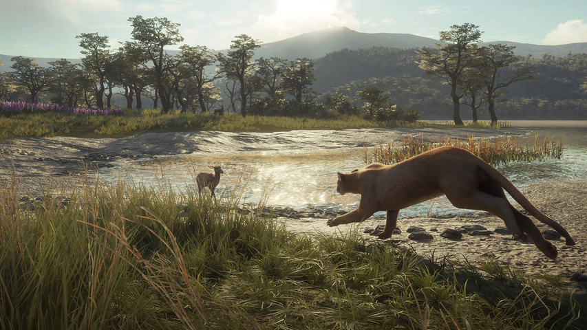 theHunter: Call of the Wild™ - Parque Fernando – image 7