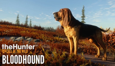 theHunter: Call of the Wild™ - Bloodhound -  للبيع في مصر من خلال Games2Egypt