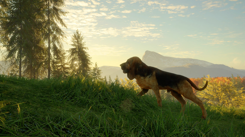 theHunter: Call of the Wild™ - Bloodhound – image 5