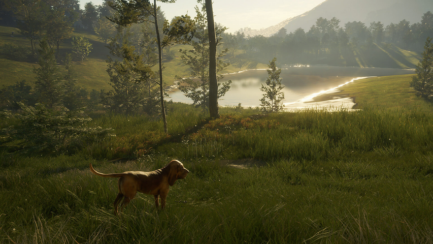 theHunter: Call of the Wild™ - Bloodhound – image 10