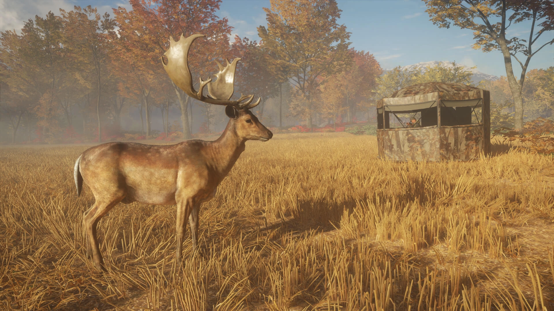 theHunter: Call of the Wild™ - Tents & Ground Blinds  للبيع في مصر من خلال Games2Egypt