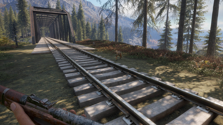 theHunter: Call of the Wild™ - Weapon Pack 2 – image 3