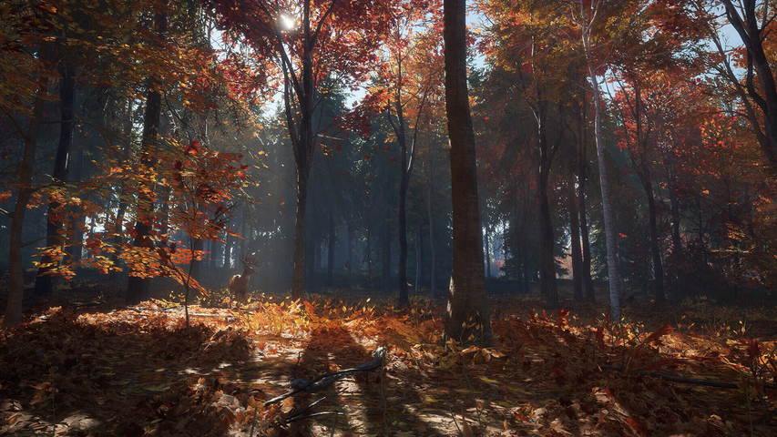 theHunter: Call of the Wild™ - New England Mountains – image 7