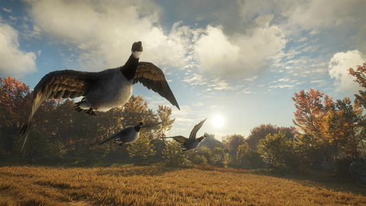 theHunter: Call of the Wild™ - Wild Goose Chase Gear  للبيع في مصر من خلال Games2Egypt