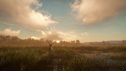 theHunter: Call of the Wild™ - Mississippi Acres Preserve  للبيع في مصر من خلال Games2Egypt
