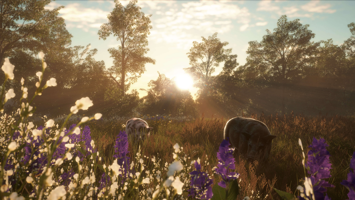 theHunter: Call of the Wild™ - Mississippi Acres Preserve  للبيع في مصر من خلال Games2Egypt