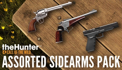 theHunter: Call of the Wild™ - Assorted Sidearms Pack -  for sale in Egypt from Games2Egypt