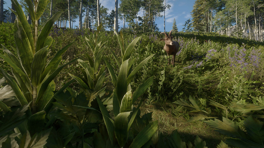 theHunter: Call of the Wild™ - Silver Ridge Peaks  للبيع في مصر من خلال Games2Egypt