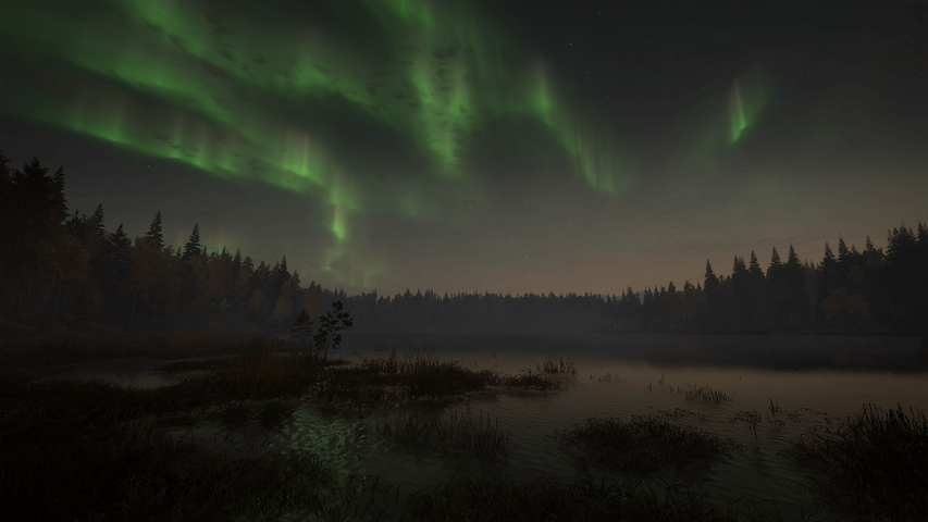 theHunter: Call of the Wild™ - Revontuli Coast – image 3