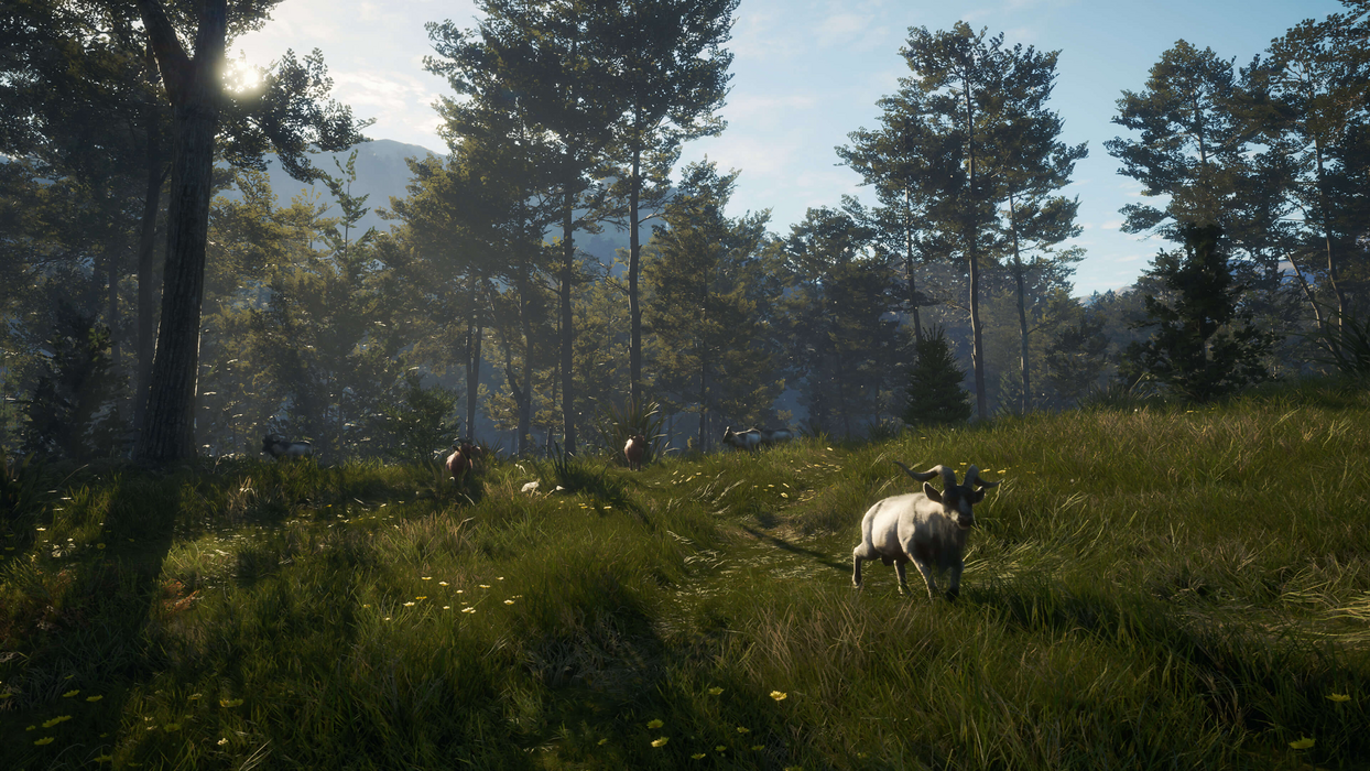 theHunter: Call of the Wild™ - Te Awaroa National Park  للبيع في مصر من خلال Games2Egypt