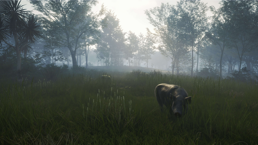 theHunter: Call of the Wild™ - Te Awaroa National Park – image 5