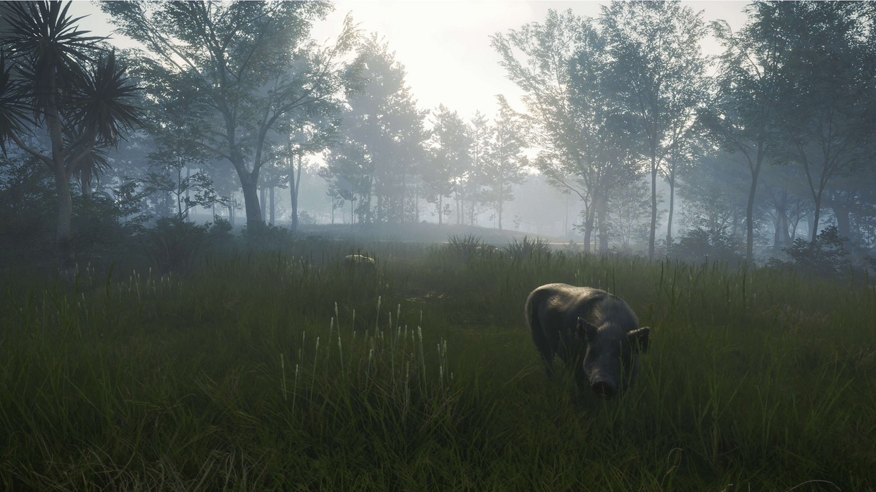 theHunter: Call of the Wild™ - Te Awaroa National Park  للبيع في مصر من خلال Games2Egypt