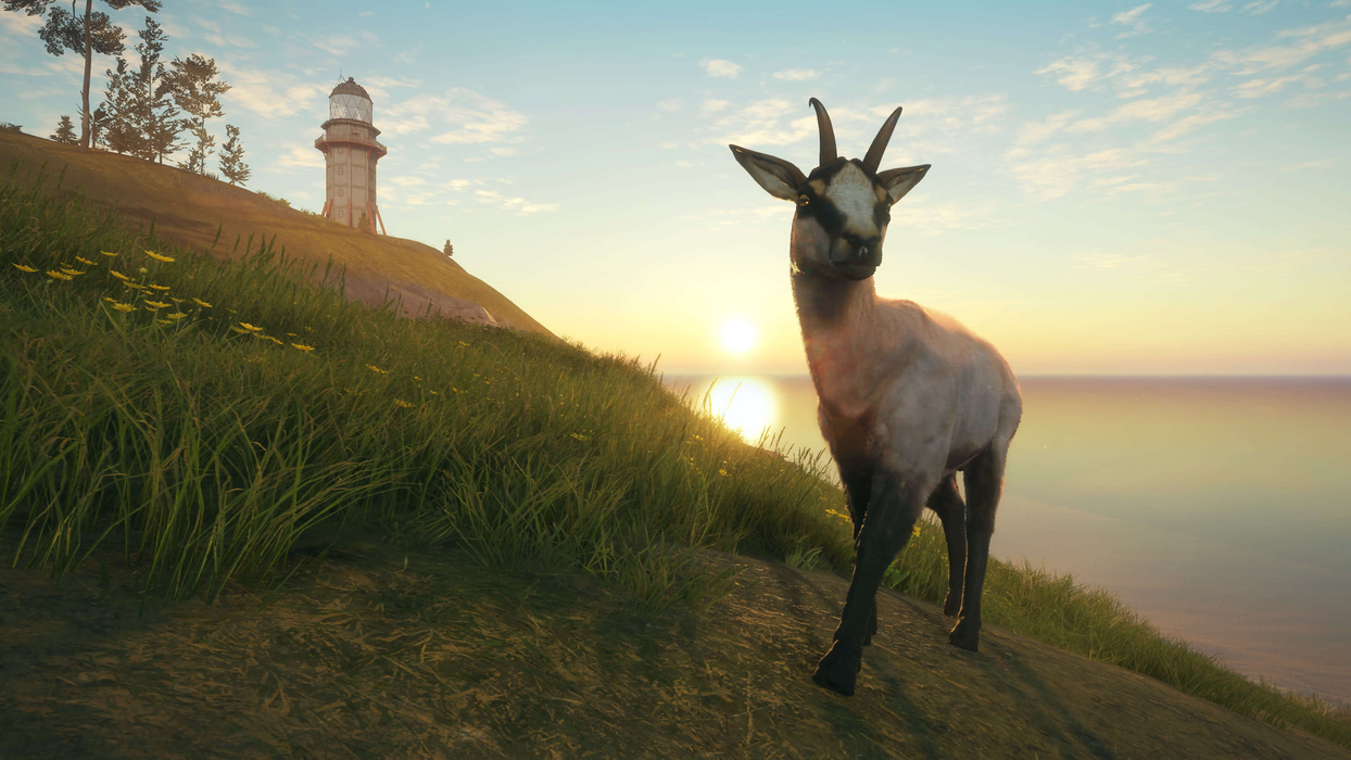 theHunter: Call of the Wild™ - Te Awaroa National Park  للبيع في مصر من خلال Games2Egypt