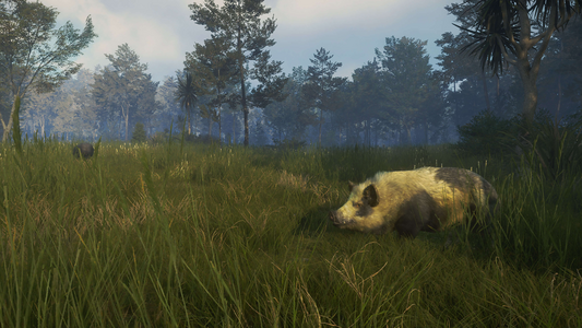 theHunter: Call of the Wild™ - Te Awaroa National Park  للبيع في مصر من خلال Games2Egypt