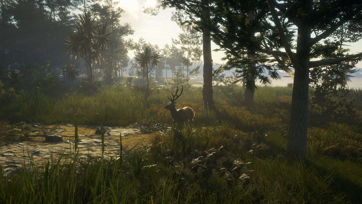 theHunter: Call of the Wild™ - Te Awaroa National Park  للبيع في مصر من خلال Games2Egypt