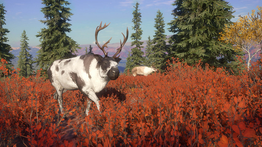 theHunter: Call of the Wild™ - Yukon Valley  للبيع في مصر من خلال Games2Egypt