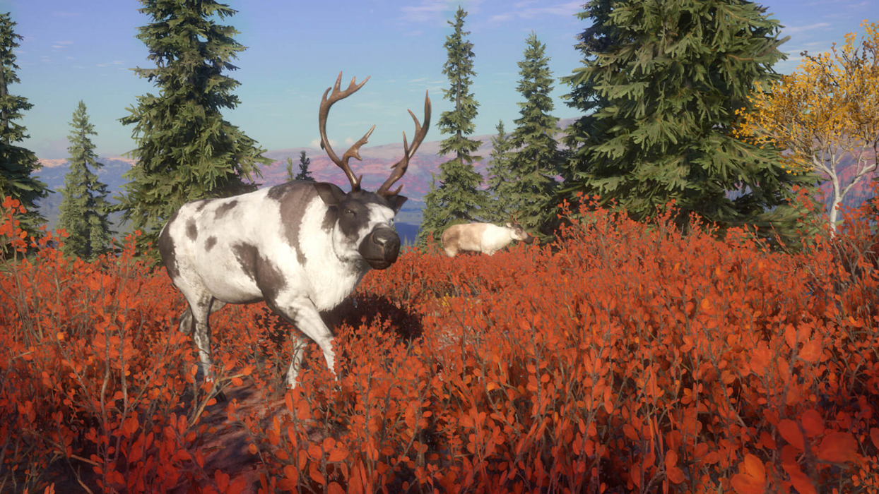 theHunter: Call of the Wild™ - Yukon Valley  للبيع في مصر من خلال Games2Egypt