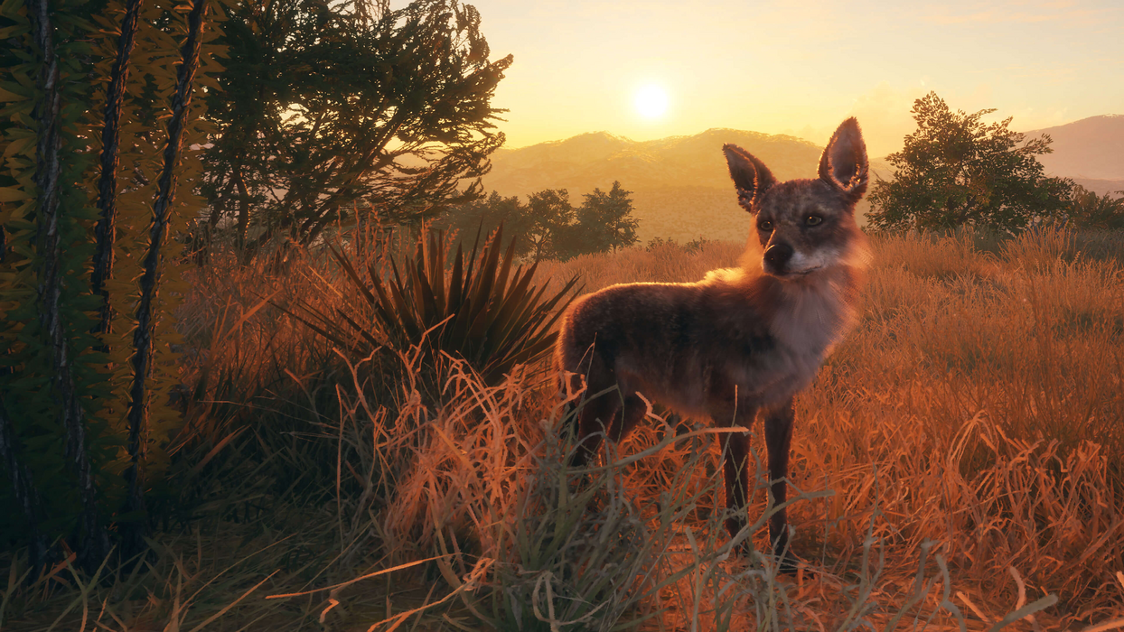 theHunter: Call of the Wild™ - Rancho del Arroyo  للبيع في مصر من خلال Games2Egypt
