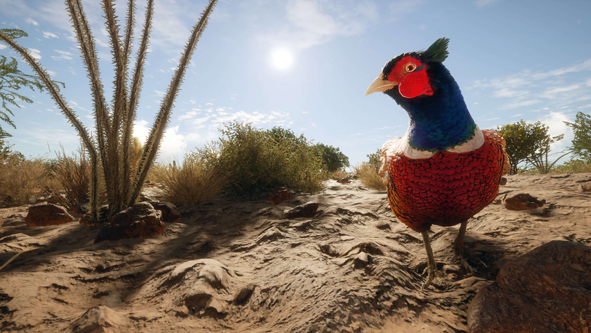 theHunter: Call of the Wild™ - Rancho del Arroyo – image 3